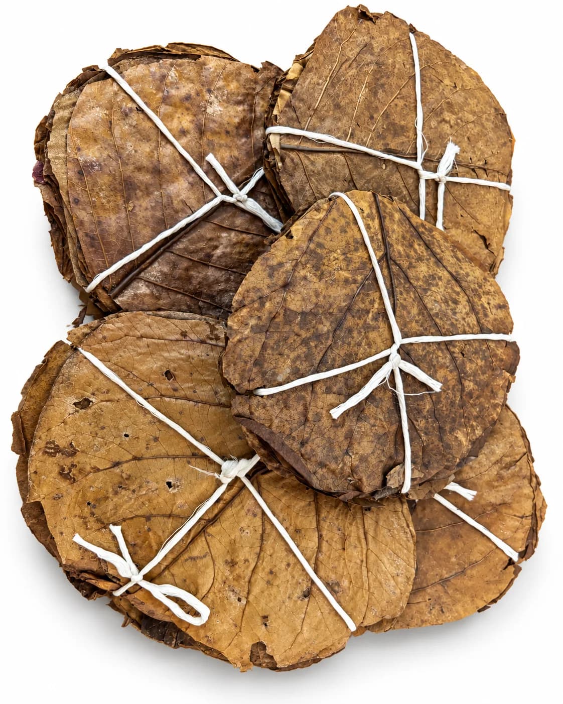 Bouquets de feuilles de catappa séchées ficelées à la main
